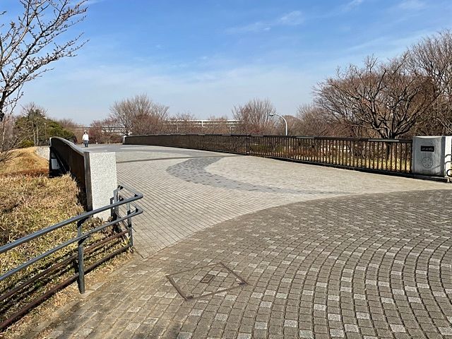 武蔵国分寺公園　東京スカイツリーが見れるふれあい橋